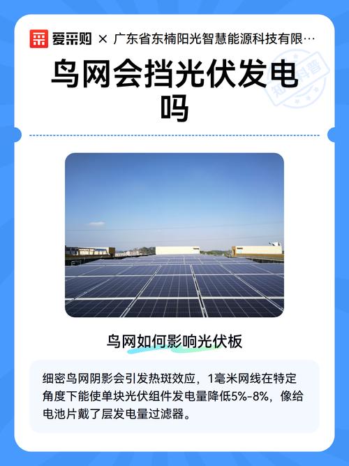 鸟网会挡光伏发电吗